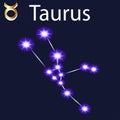 constellation Taurus with stars in the night sky