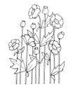 illustration, contour bouquet of wildflowers, poppies