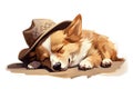 Illustration of a Corgi lying down with a cowboy hat. Generative AI
