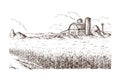 Illustration of cornfield grain stalk sketch