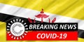 Coronavirus COVID-19 on Brunei Flag