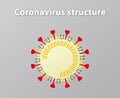 Illustration of coronavirus structure.