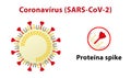 Illustration of coronavirus structure, highlighting its spike protein. Text in Portuguese.