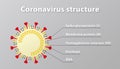 Illustration of coronavirus structure, including its spike protein. Text in English.