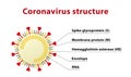 Illustration of coronavirus structure, including its spike protein. Text in English.