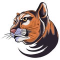 Illustration of Cougar Panther Mascot Head Vector Graphic