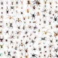 Illustration created by Artificial Intelligence of many spiders. Generative AI