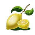Whole lemon and half lemon Royalty Free Stock Photo