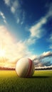 An illustration of cricket sport gear laying on green grass against a blue sky background. Royalty Free Stock Photo
