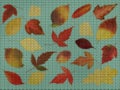 Illustration. The cross-stitch background of leaves. Set of autumn maple leaves. Floral background, collage. The texture of the