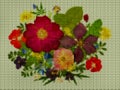 Illustration. Cross stitch. Bouquet, boutonniere.