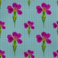 Illustration. Cross-stitch. Carnation, clove flowers. Texture of flowers. Seamless pattern for continuous replicate. Floral