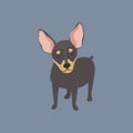 Illustration of cuddly puppy icon