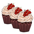 Illustration of a cupcakes decorate with chocolate cream and bunch of red currants, isolated on a white background