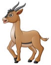 Cute antelope cartoon Royalty Free Stock Photo
