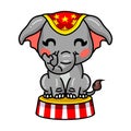 Cute baby circus elephant cartoon sitting on stage