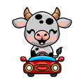 Cute baby cow cartoon driving red car Royalty Free Stock Photo