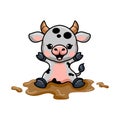 Cute baby cow cartoon sitting in the mud Royalty Free Stock Photo