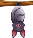 Cute bat cartoon sleeping hanging on tree