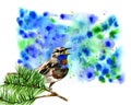 Illustration of cute blue bird on branch pine Royalty Free Stock Photo