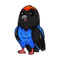 Cute blue manakin bird cartoon