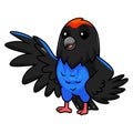 Cute blue manakin bird cartoon waving hand