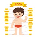 Illustration of Boy body parts diagram.