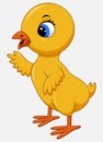 Cute cartoon little chicken isolated on a white background Royalty Free Stock Photo