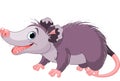 Opossum