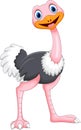 Cute Cartoon ostrich