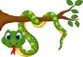 Cute cartoon snake on branch Royalty Free Stock Photo