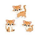 Illustration of cute cat animal character design
