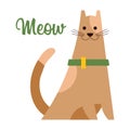 Illustration, cute cat with a collar and text Meow. Children\'s print, postcard, clothing decor