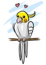 Illustration of a cute cockatiel