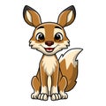 Cute coyote cartoon on white background