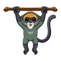 Cute de brazza`s monkey cartoon hanging on tree Royalty Free Stock Photo