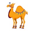 Illustration of cute decorated camel cartoon.