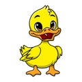 Cute duckling cartoon on white background