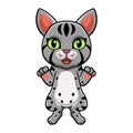 Cute egyptian mau cat cartoon standing