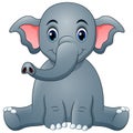 Cute elephant cartoon sitting Royalty Free Stock Photo