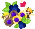 Illustration of cute flower fairies and blueberries