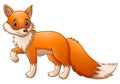 Cute fox cartoon Royalty Free Stock Photo