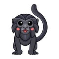 Cute goeldi`s monkey cartoon posing