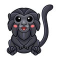 Cute goeldi`s monkey cartoon sitting