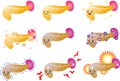 Illustration of a cute Gradation pancreas and spleen set