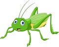 Cute grasshopper cartoon