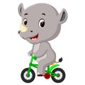 Cute happy rhino cycling Royalty Free Stock Photo