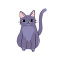 Illustration of cute happy sitting dark purple cat