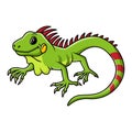 Cute iguana cartoon posing with smile Royalty Free Stock Photo