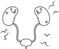 Illustration of cute kidney and bladder outline